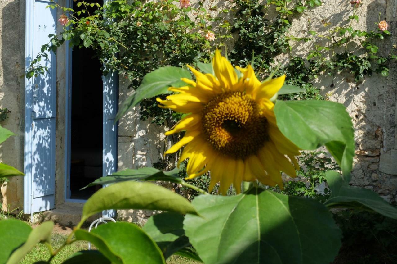 Chambres D'Hotes Dans Maison D'Artiste Galargues Exterior foto