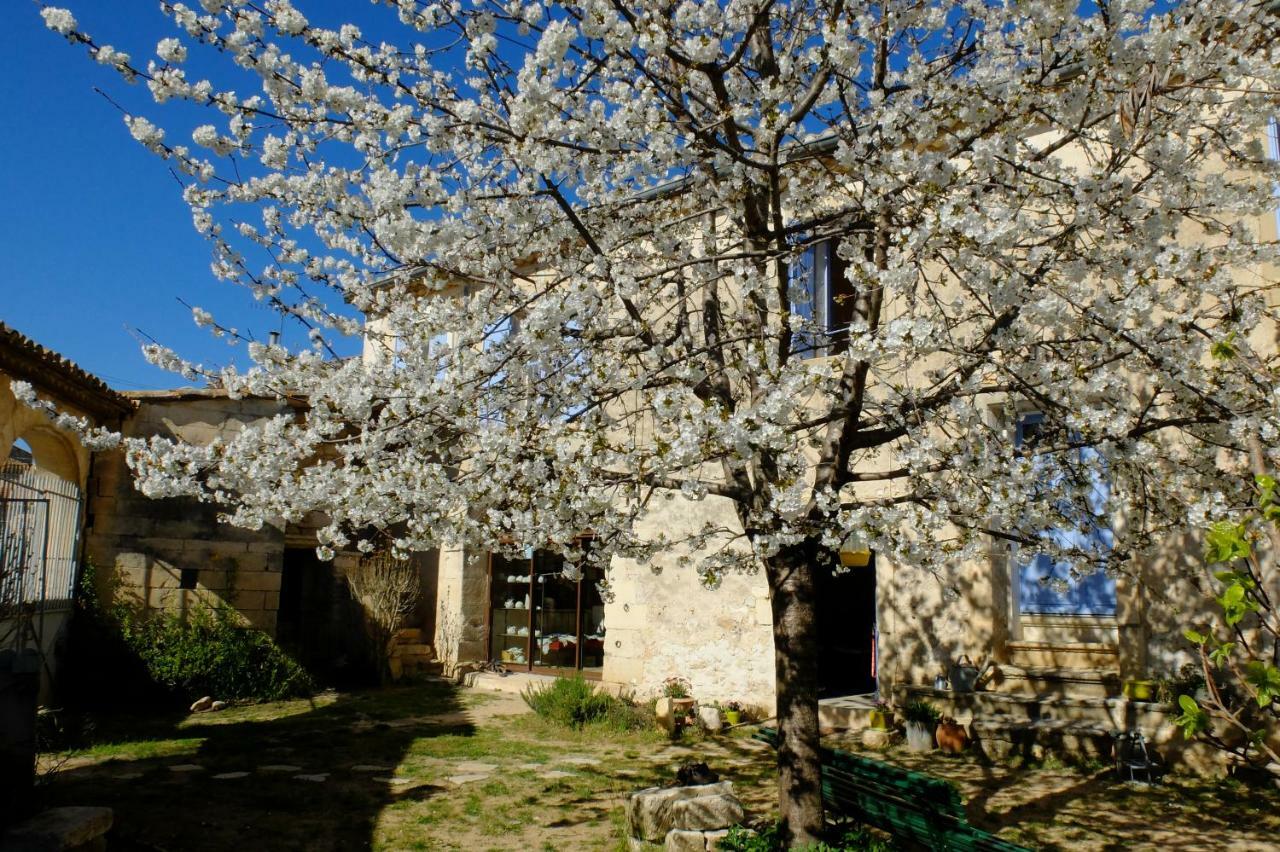 Chambres D'Hotes Dans Maison D'Artiste Galargues Exterior foto