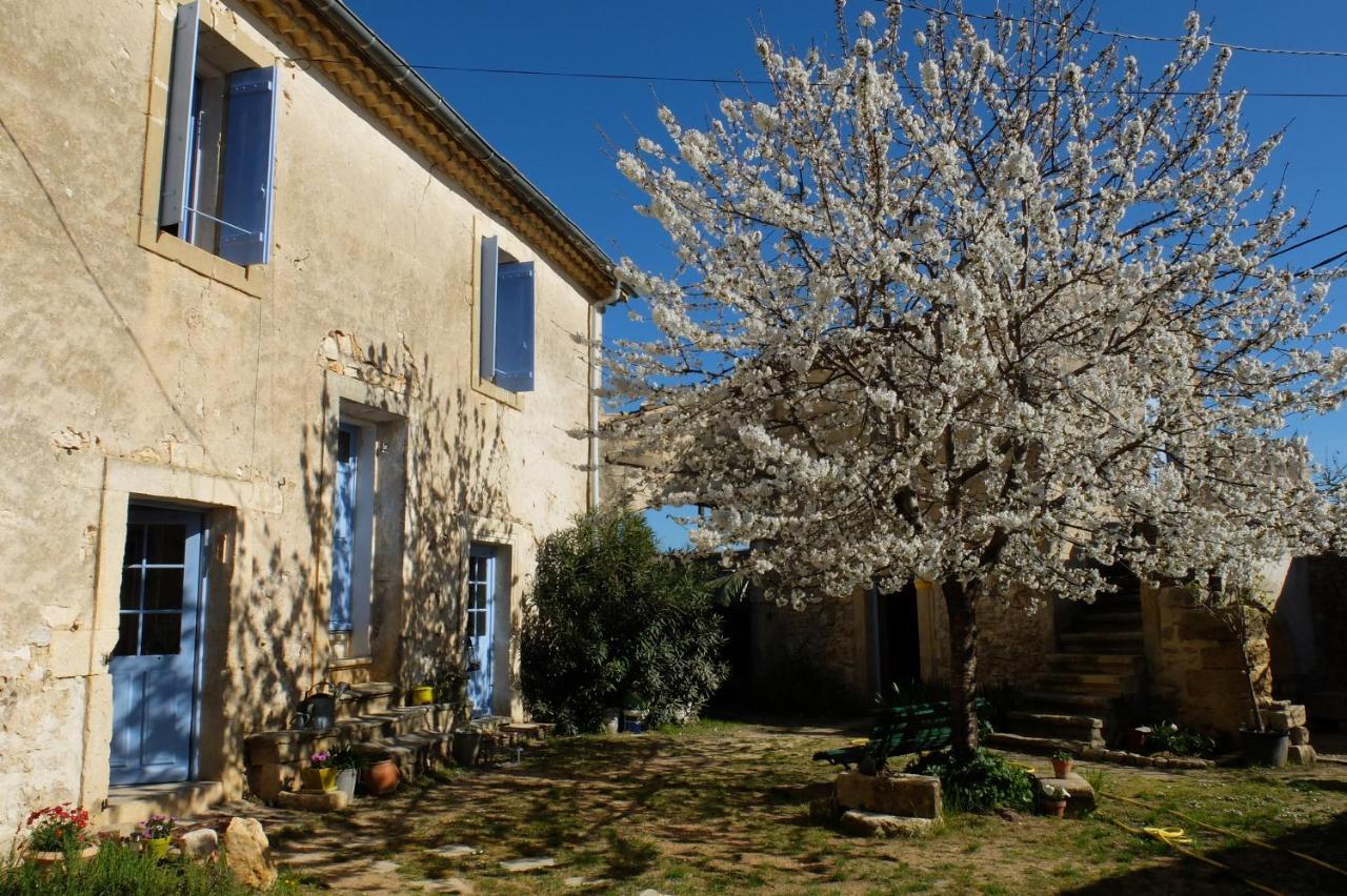 Chambres D'Hotes Dans Maison D'Artiste Galargues Exterior foto